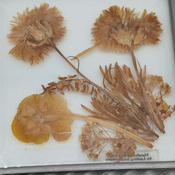 Vintage Lasting Impressions Suncatcher Dried Pressed Flowers in Framed Glass USA - Picture 4 of 5